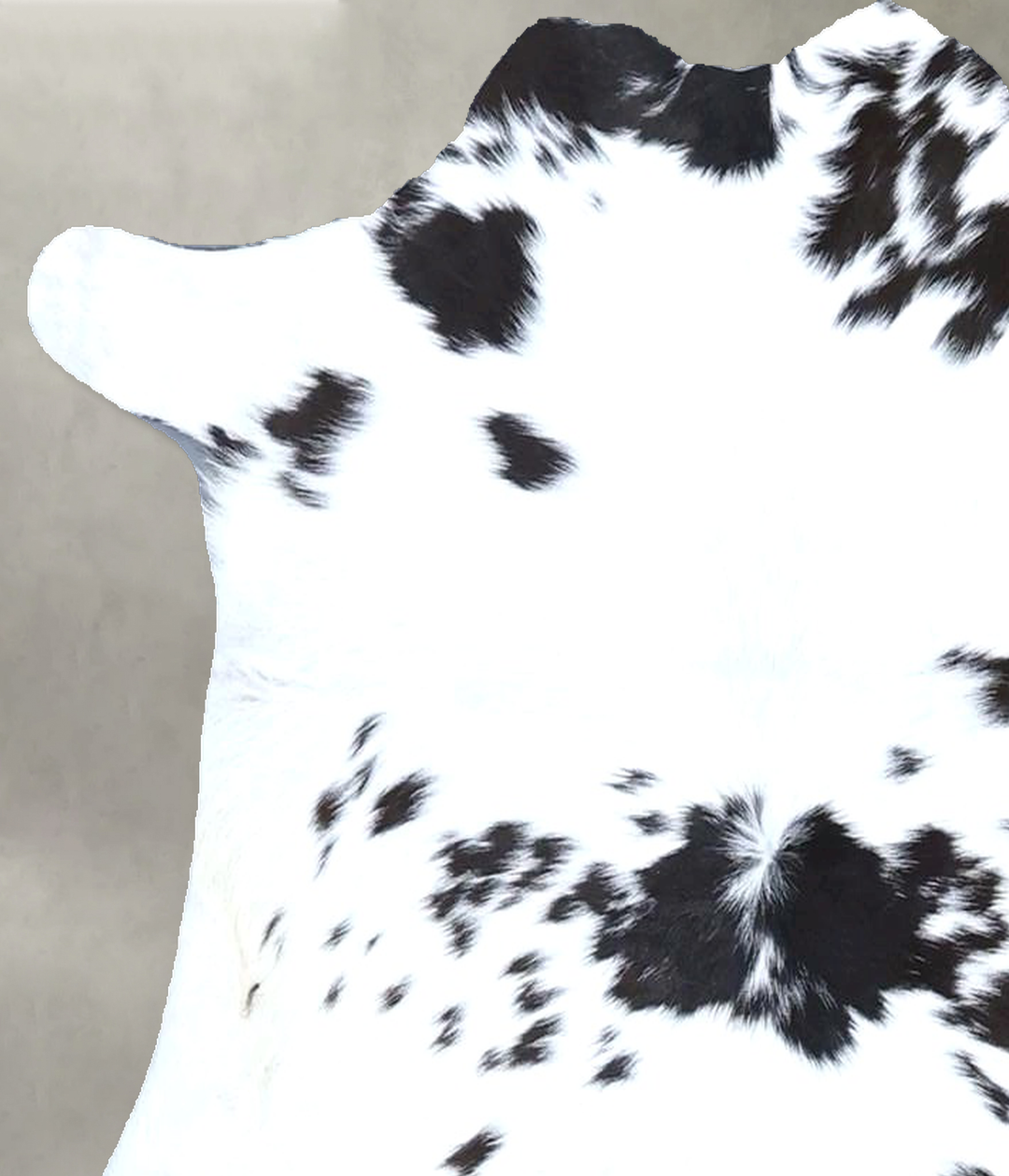 Calfhide Approx 2'x3' #B21579 by Hudson Hides