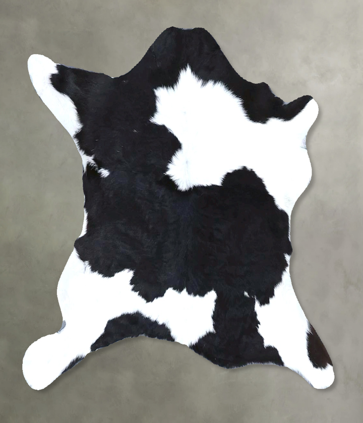 Calfhide Approx 2'x3' #B21581 by Hudson Hides