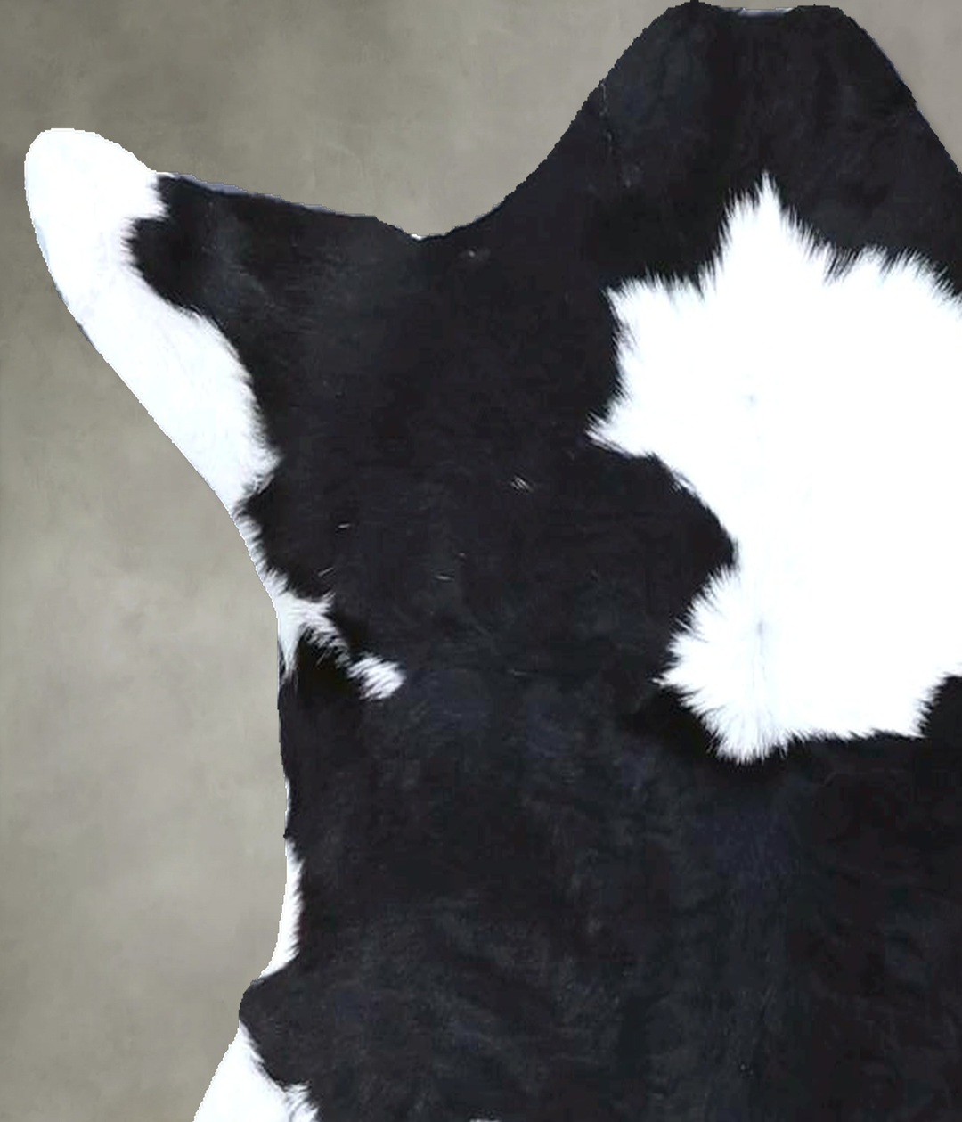 Calfhide Approx 2'x3' #B21581 by Hudson Hides