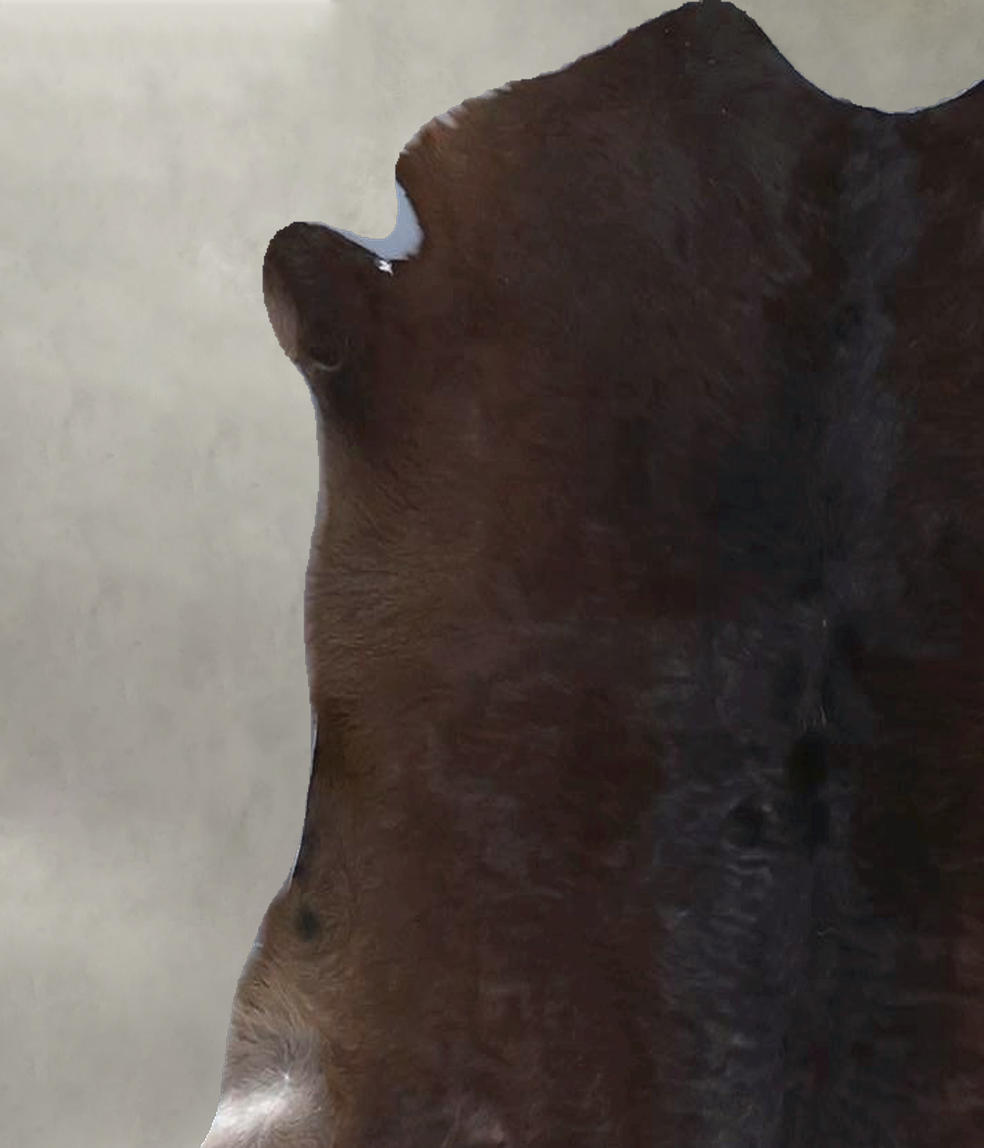 Calfhide Approx 2'x3' #B21584 by Hudson Hides
