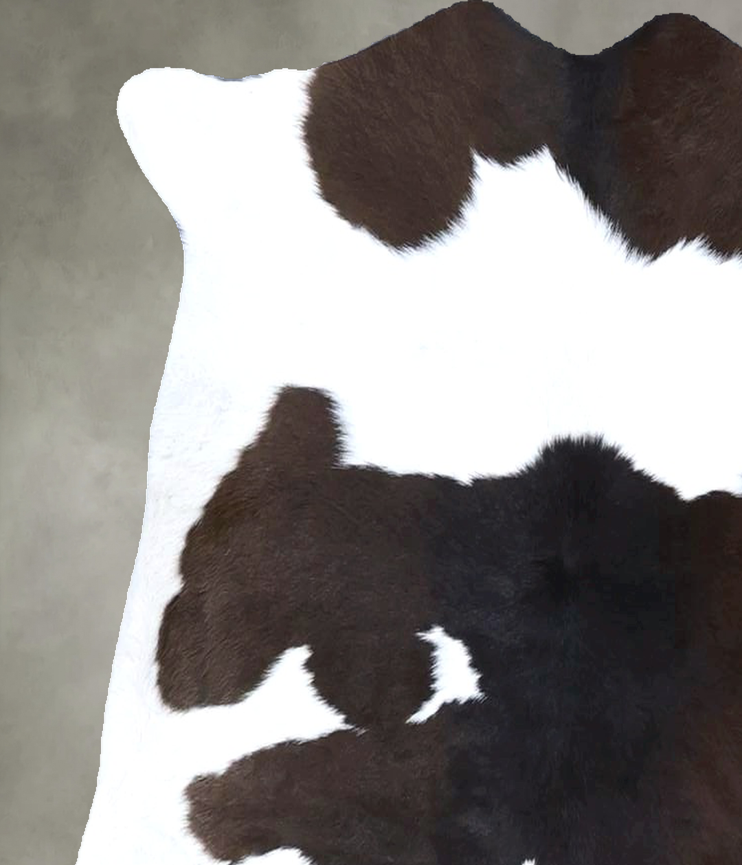 Calfhide Approx 2'x3' #B21587 by Hudson Hides