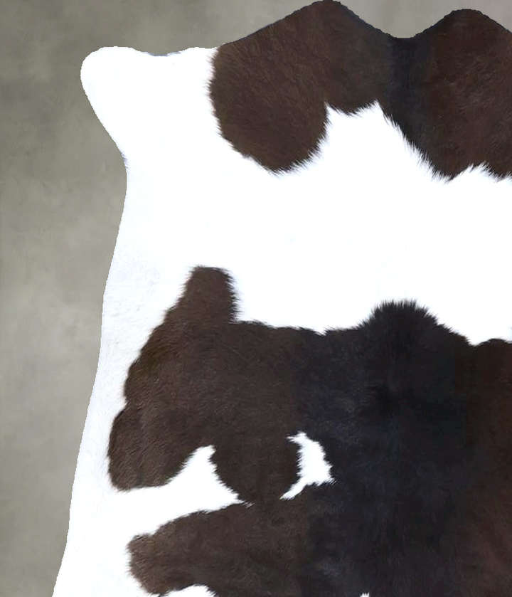 Calfhide Approx 2'x3' #B21587 by Hudson Hides