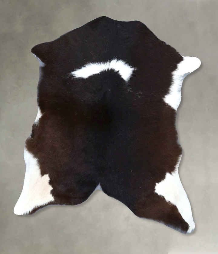 Calfhide Approx 2'x3' #B21589 by Hudson Hides