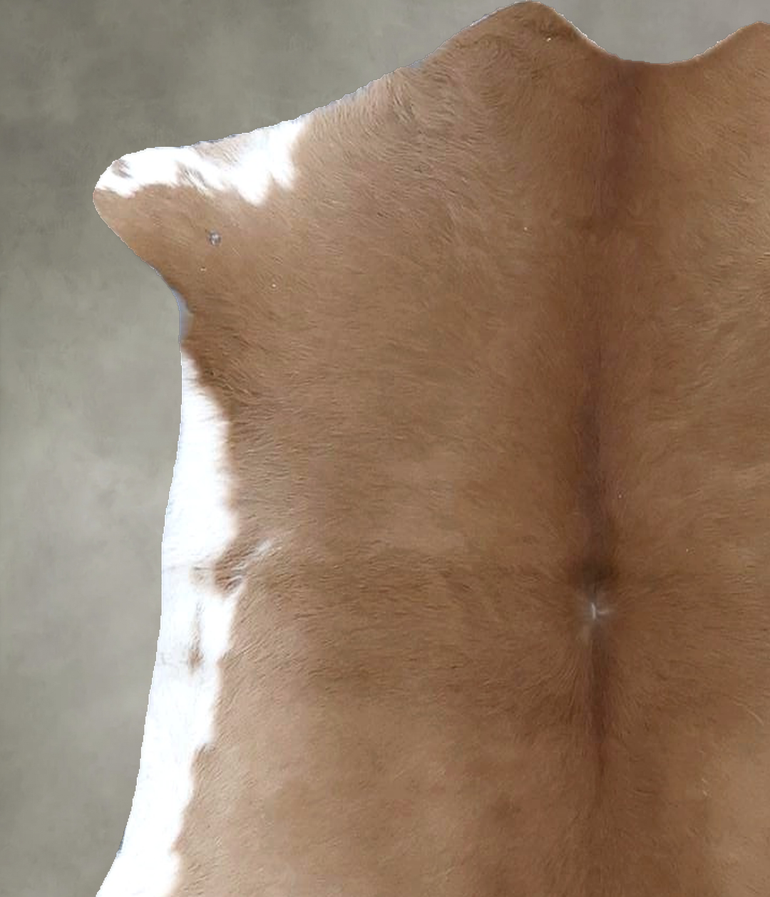 Calfhide Approx 2'x3' #B21592 by Hudson Hides