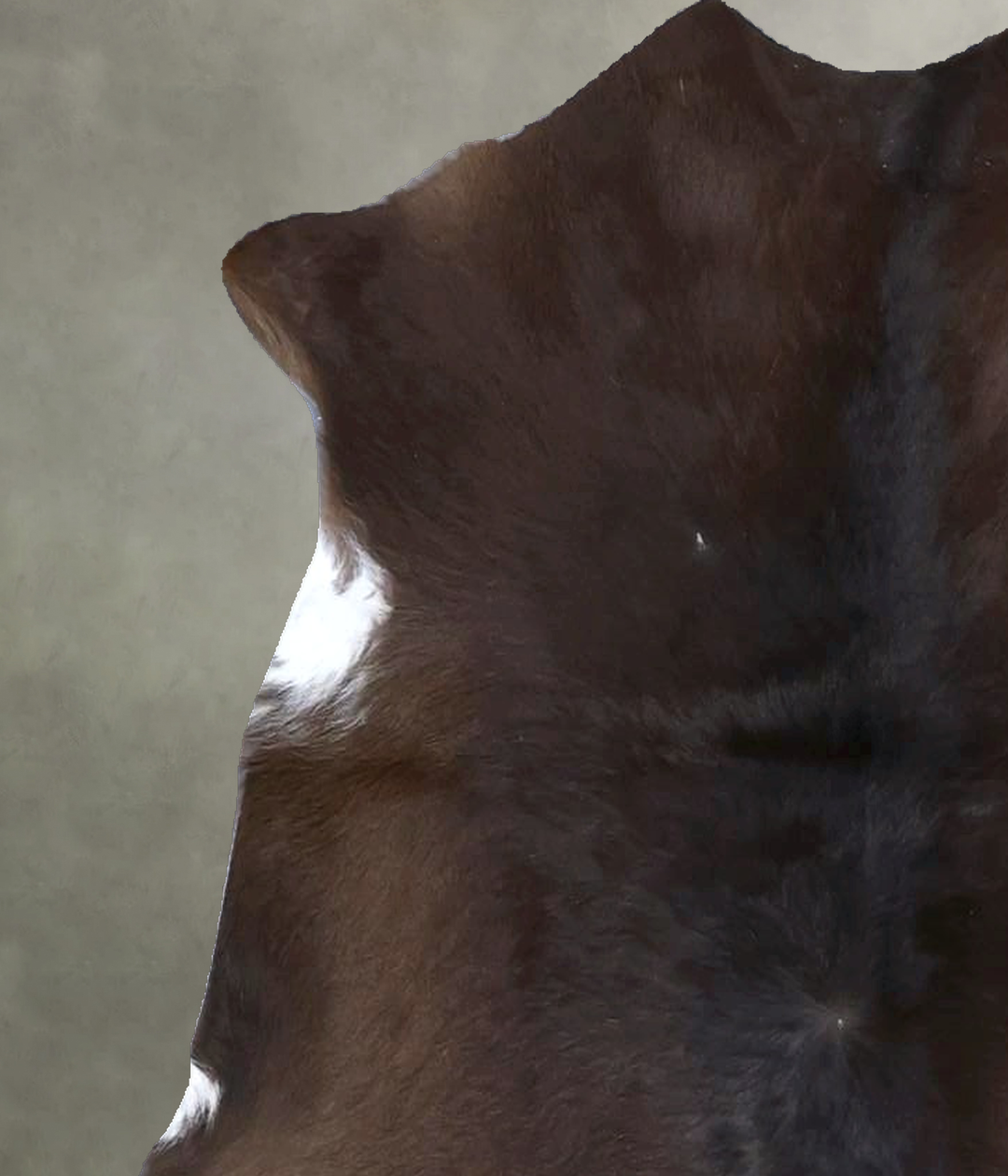 Calfhide Approx 2'x3' #B21594 by Hudson Hides