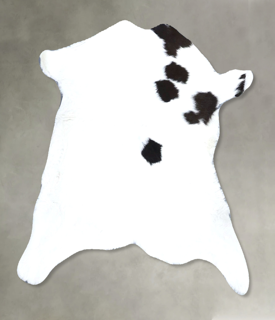 Calfhide Approx 2'x3' #B21595 by Hudson Hides