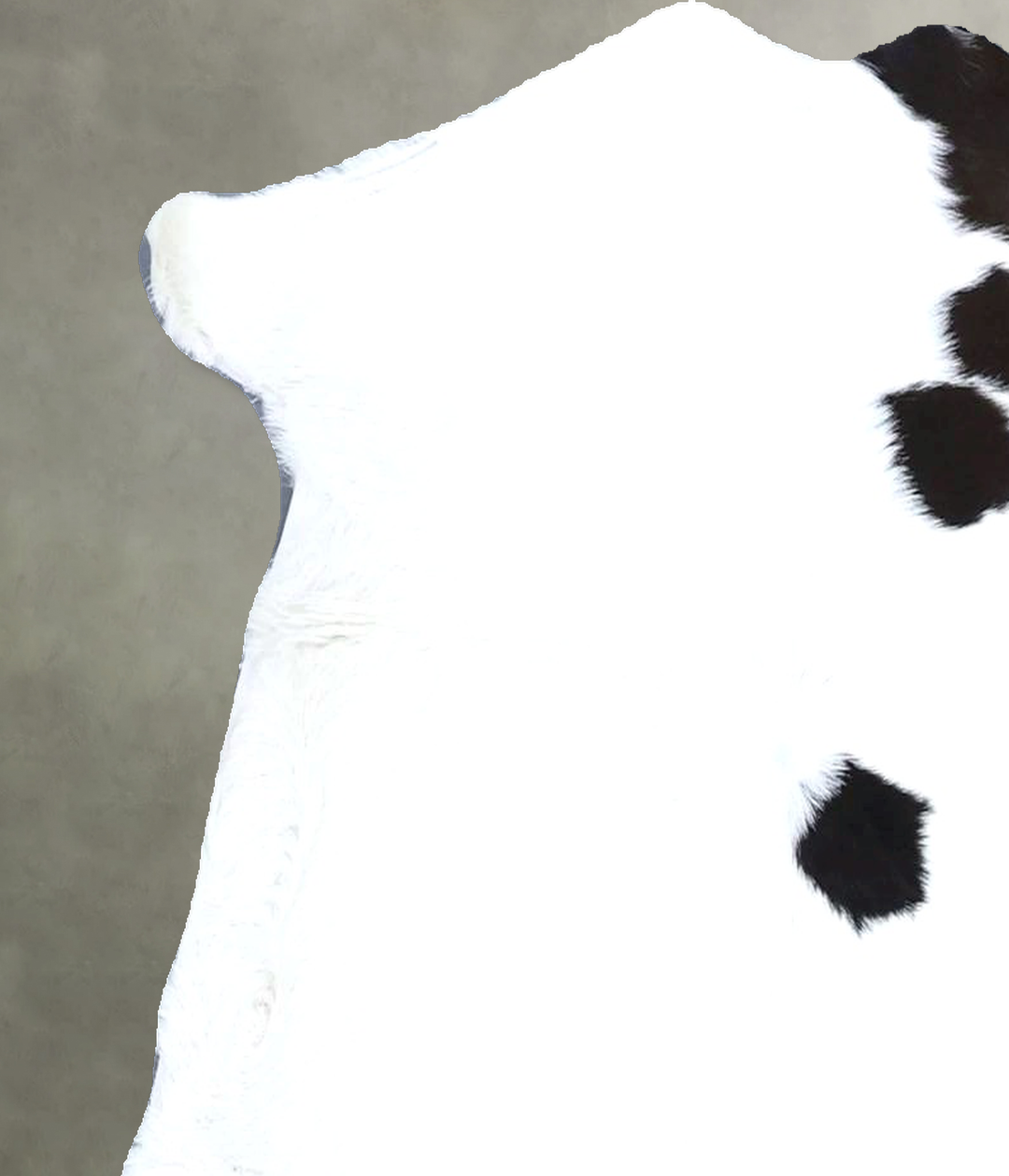 Calfhide Approx 2'x3' #B21595 by Hudson Hides