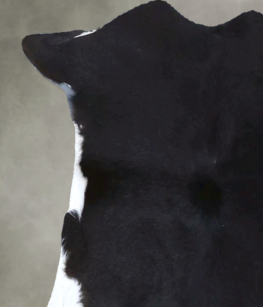 Calfhide Approx 2'x3' #B21596 by Hudson Hides