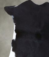 Calfhide Approx 2'x3' #B21596 by Hudson Hides