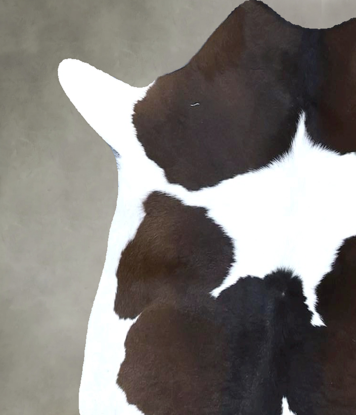 Calfhide Approx 2'x3' #B21597 by Hudson Hides