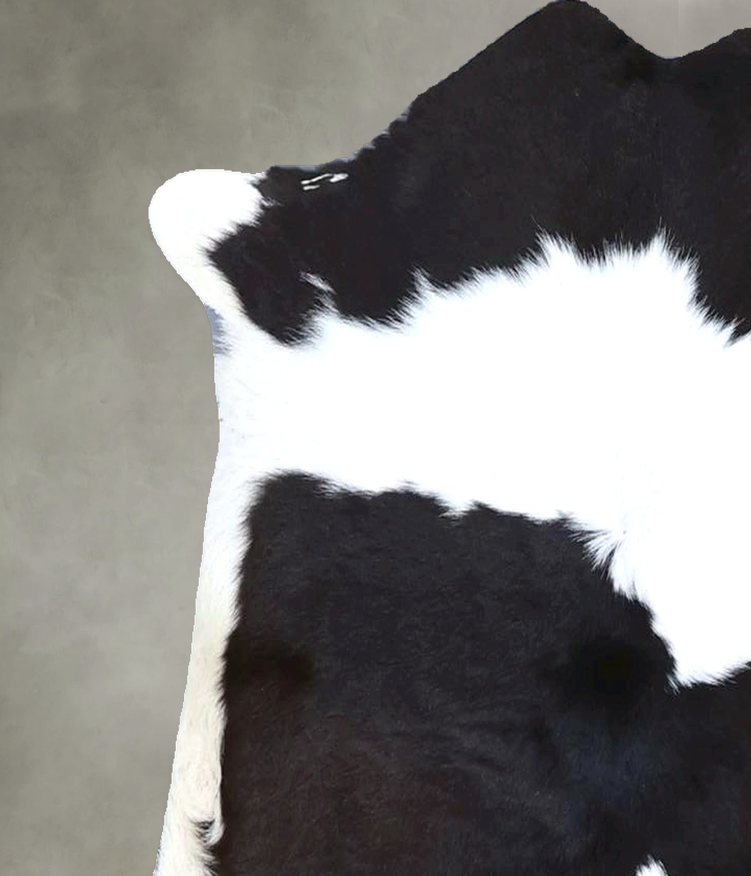 Calfhide Approx 2'x3' #B21599 by Hudson Hides