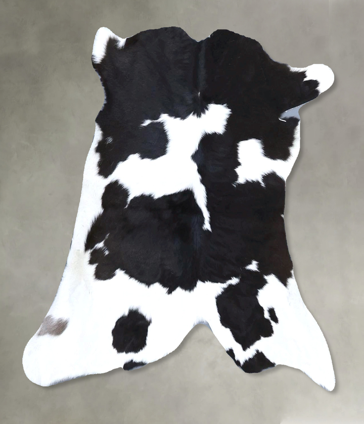 Calfhide Approx 2'x3' #B21602 by Hudson Hides