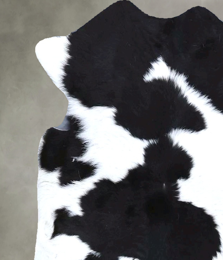 Calfhide Approx 2'x3' #B21603 by Hudson Hides