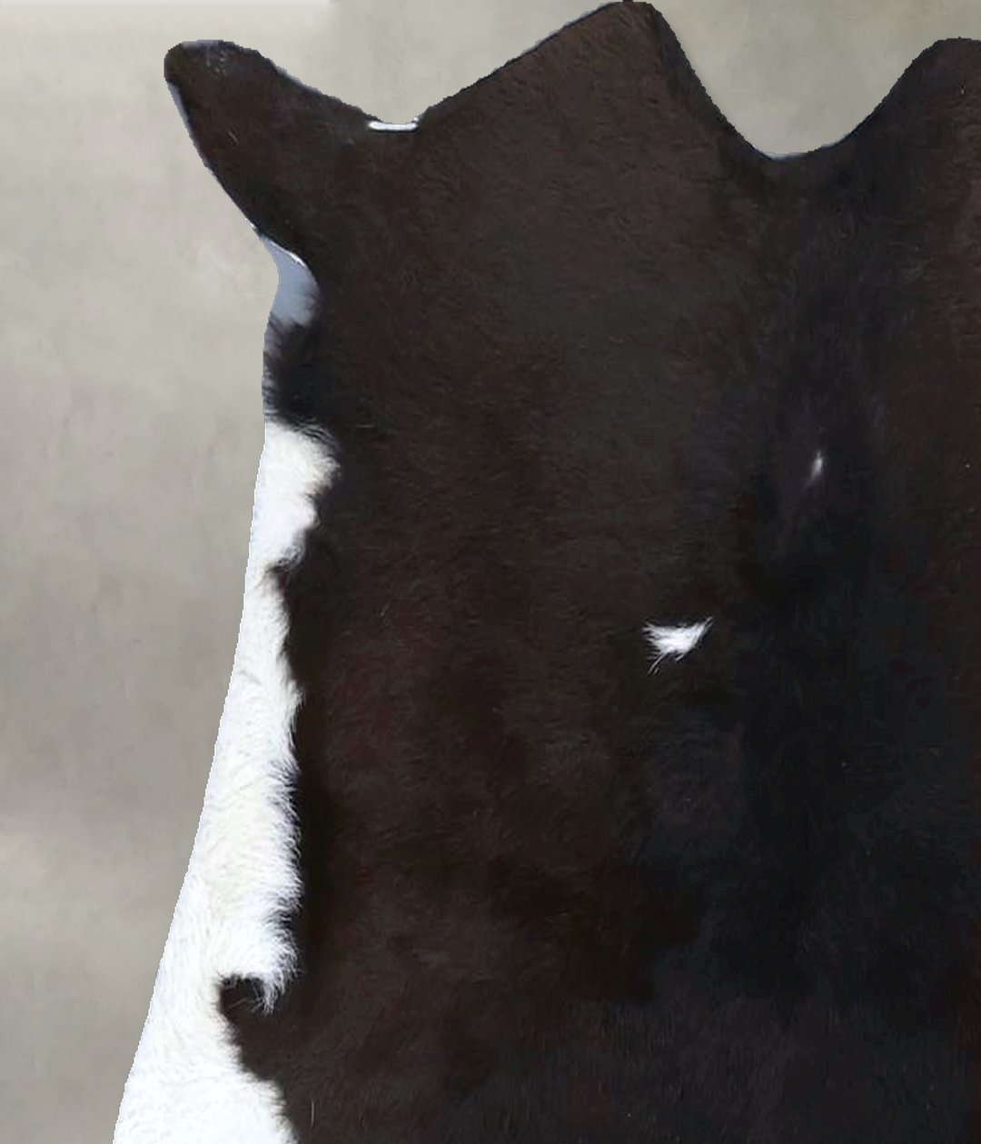 Calfhide Approx 2'x3' #B21608 by Hudson Hides