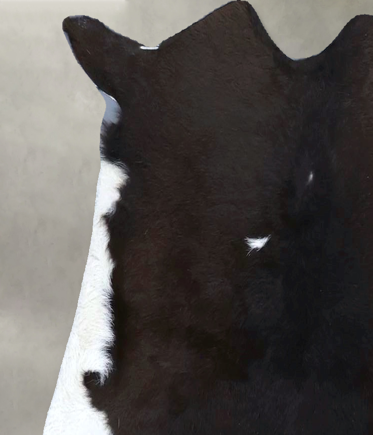Calfhide Rug #B21608