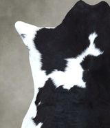 Calfhide Approx 2'x3' #B21609 by Hudson Hides