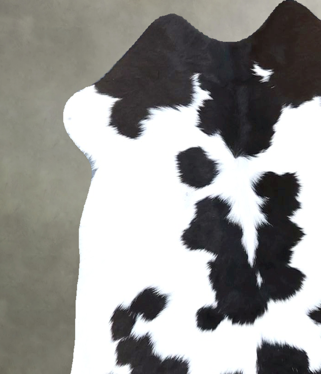 Calfhide Approx 2'x3' #B21610 by Hudson Hides