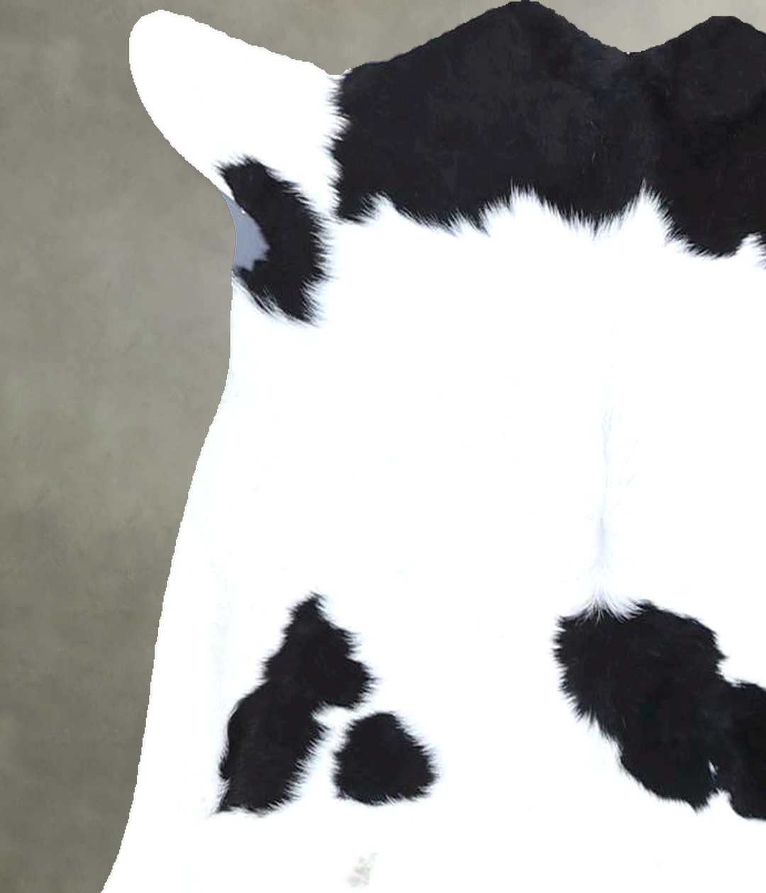 Calfhide Approx 2'x3' #B21611 by Hudson Hides