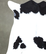 Calfhide Approx 2'x3' #B21611 by Hudson Hides