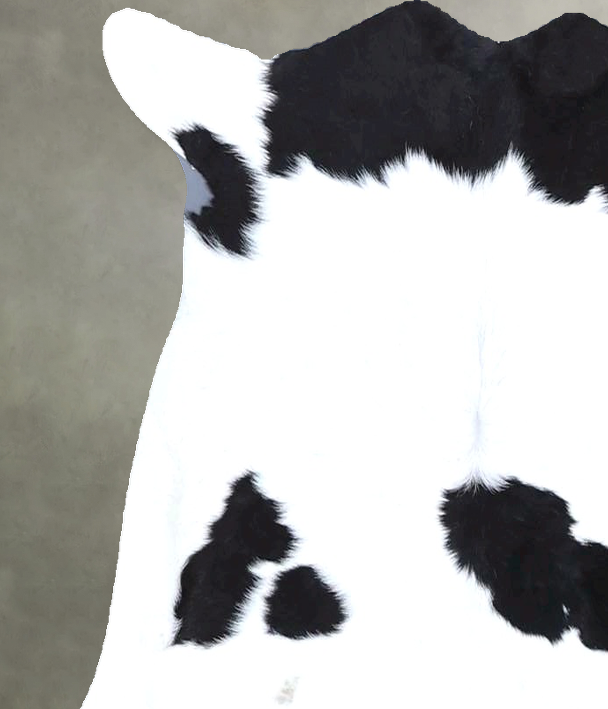 Calfhide Rug #B21611