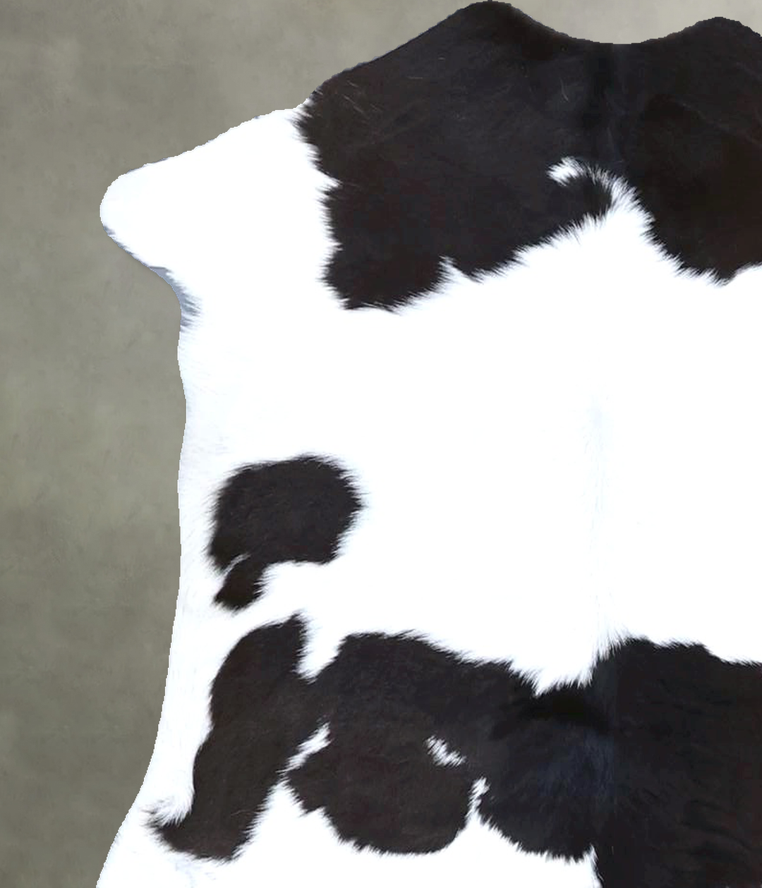 Calfhide Approx 2'x3' #B21612 by Hudson Hides