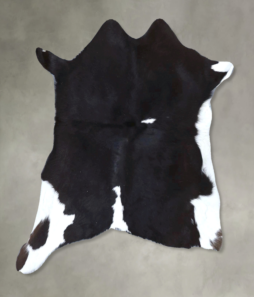 Calfhide Approx 2'x3' #B21613 by Hudson Hides