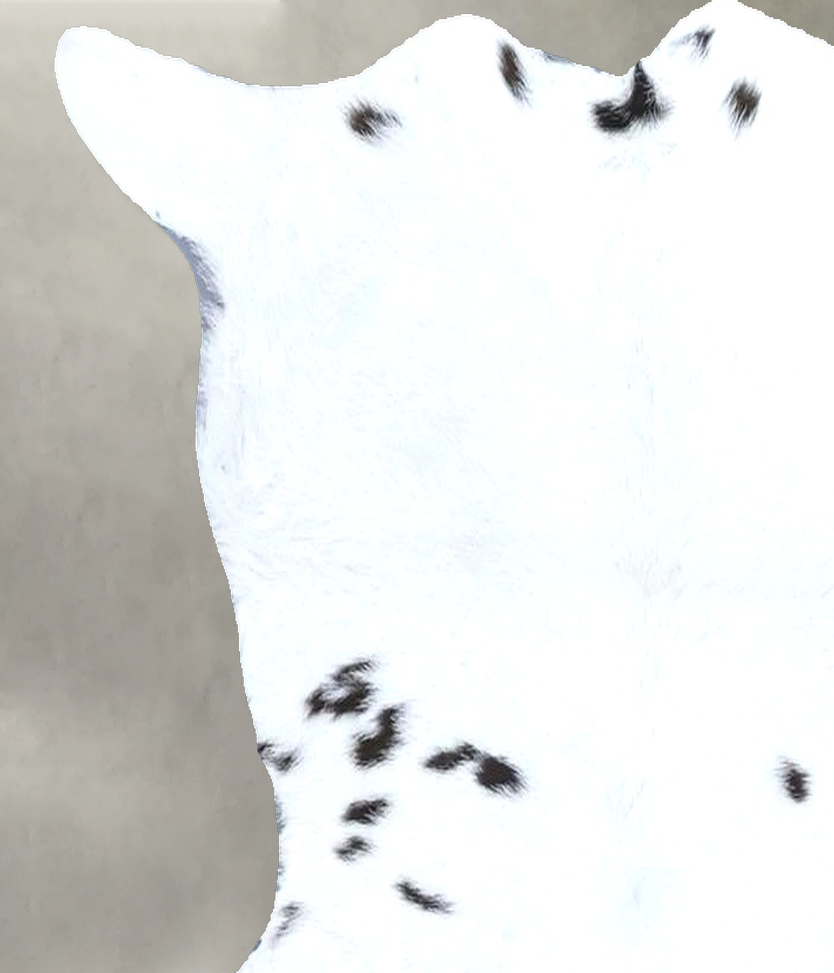 Calfhide Rug #B21614