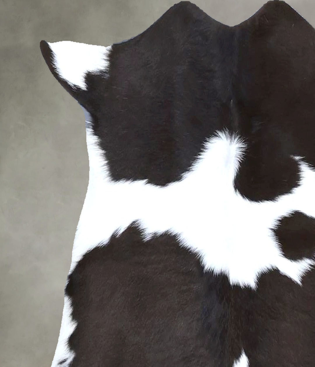 Calfhide Approx 2'x3' #B21617 by Hudson Hides