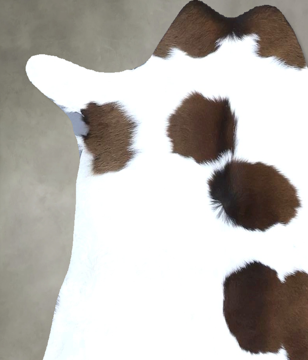 Calfhide Approx 2'x3' #B21619 by Hudson Hides