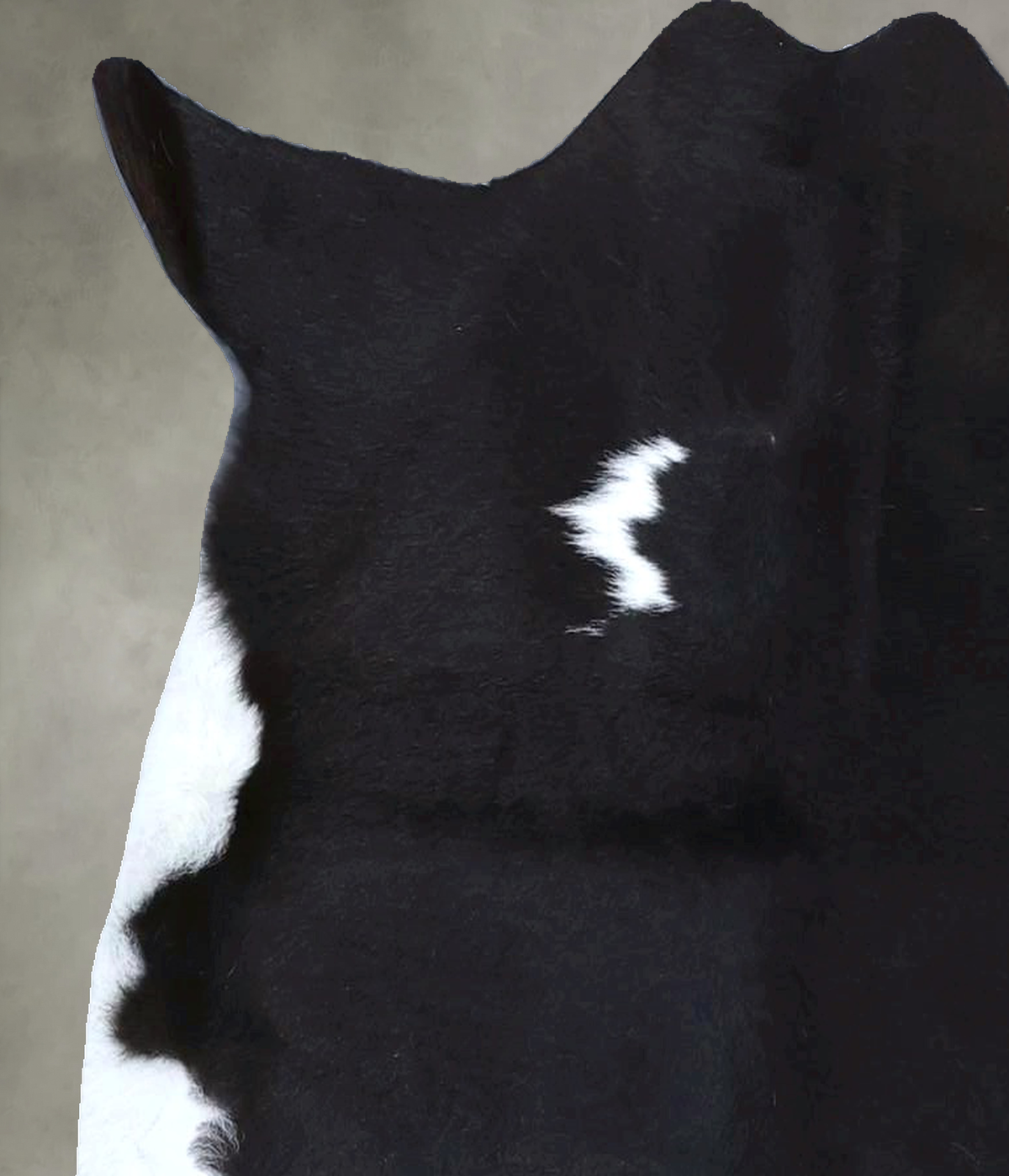 Calfhide Rug #B21622