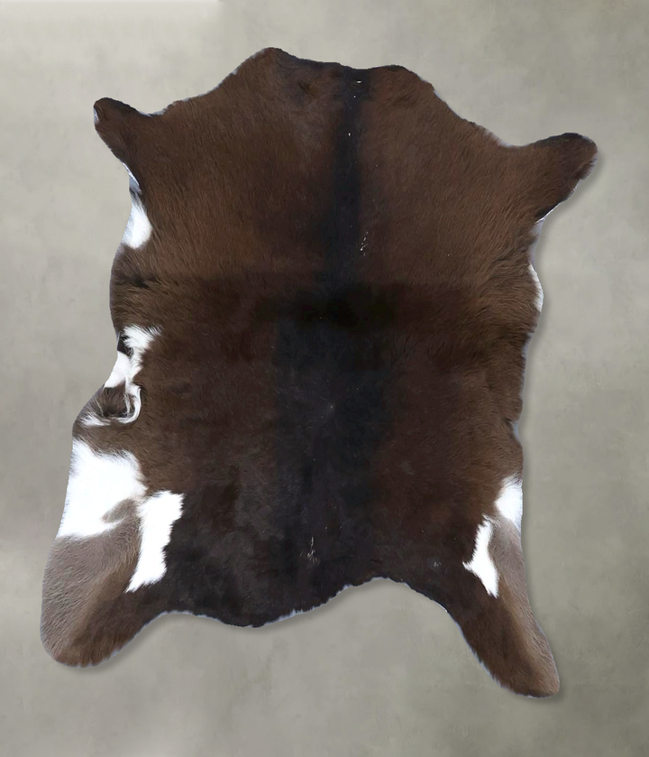 Calfhide Approx 2'x3' #B21624 by Hudson Hides