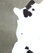 Calfhide Approx 2'x3' #B21625 by Hudson Hides