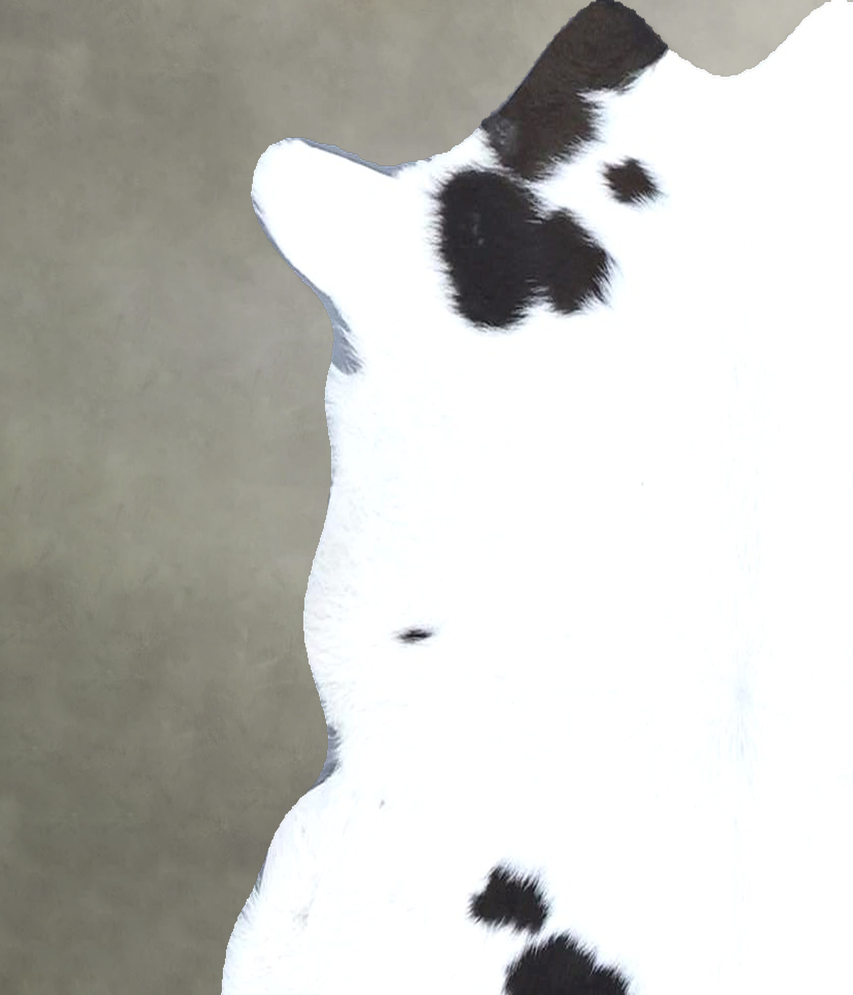 Calfhide Rug #B21625