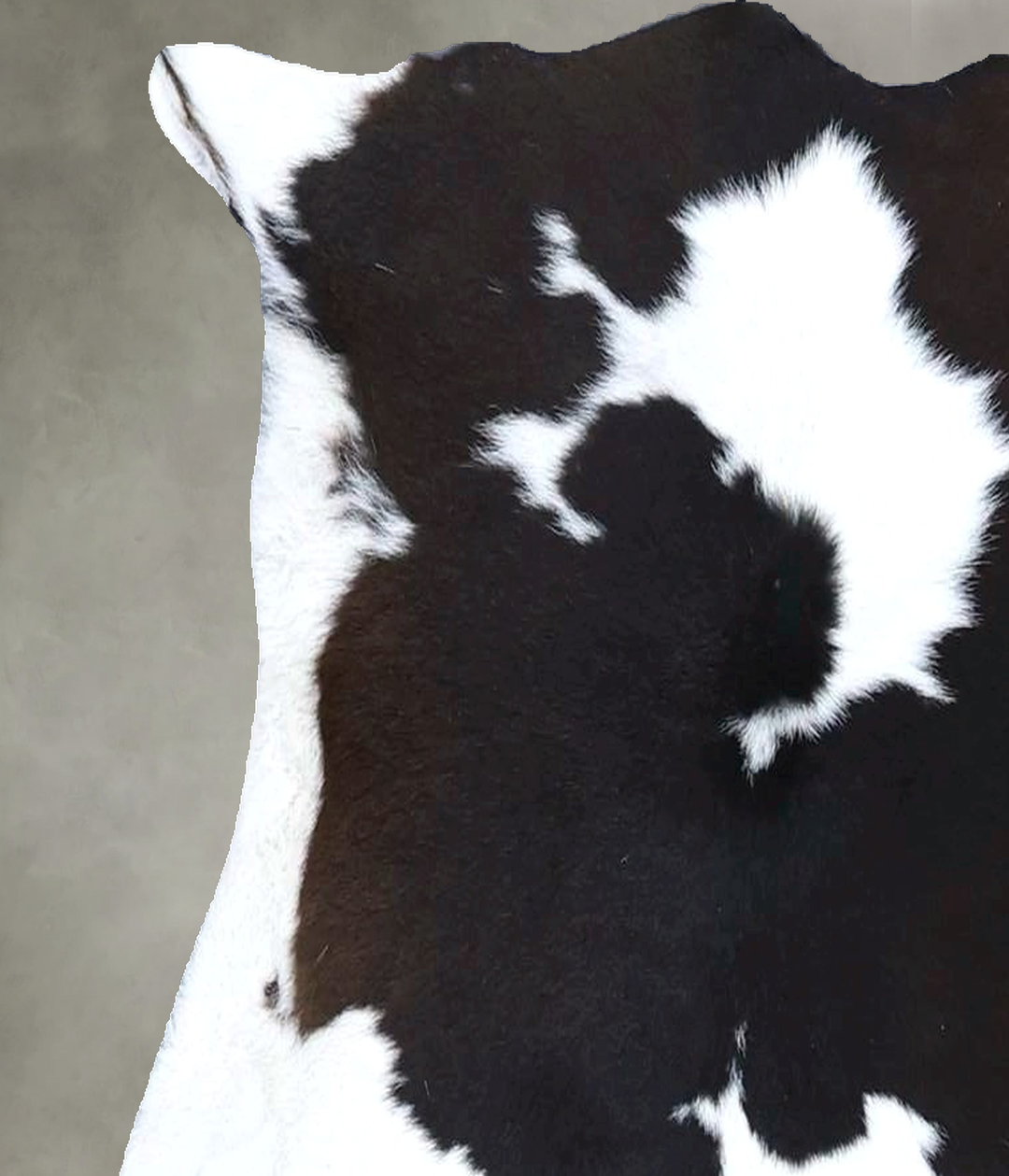 Calfhide Approx 2'x3' #B21627 by Hudson Hides