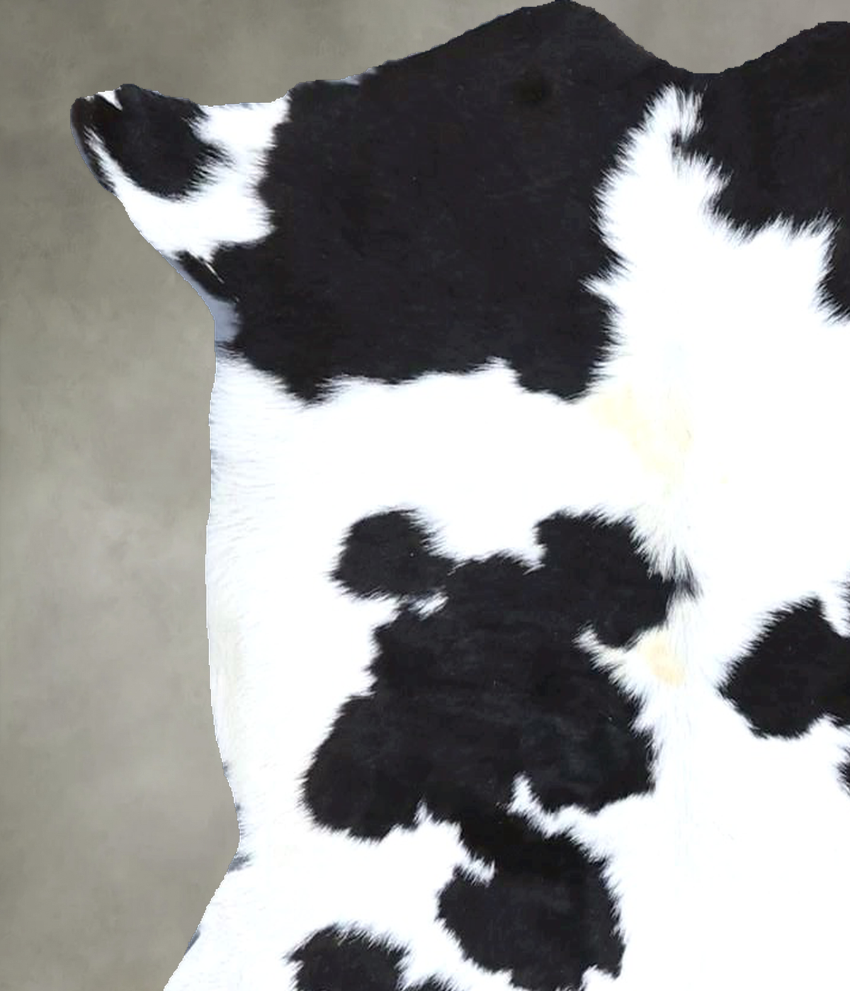 Calfhide Rug #B21630