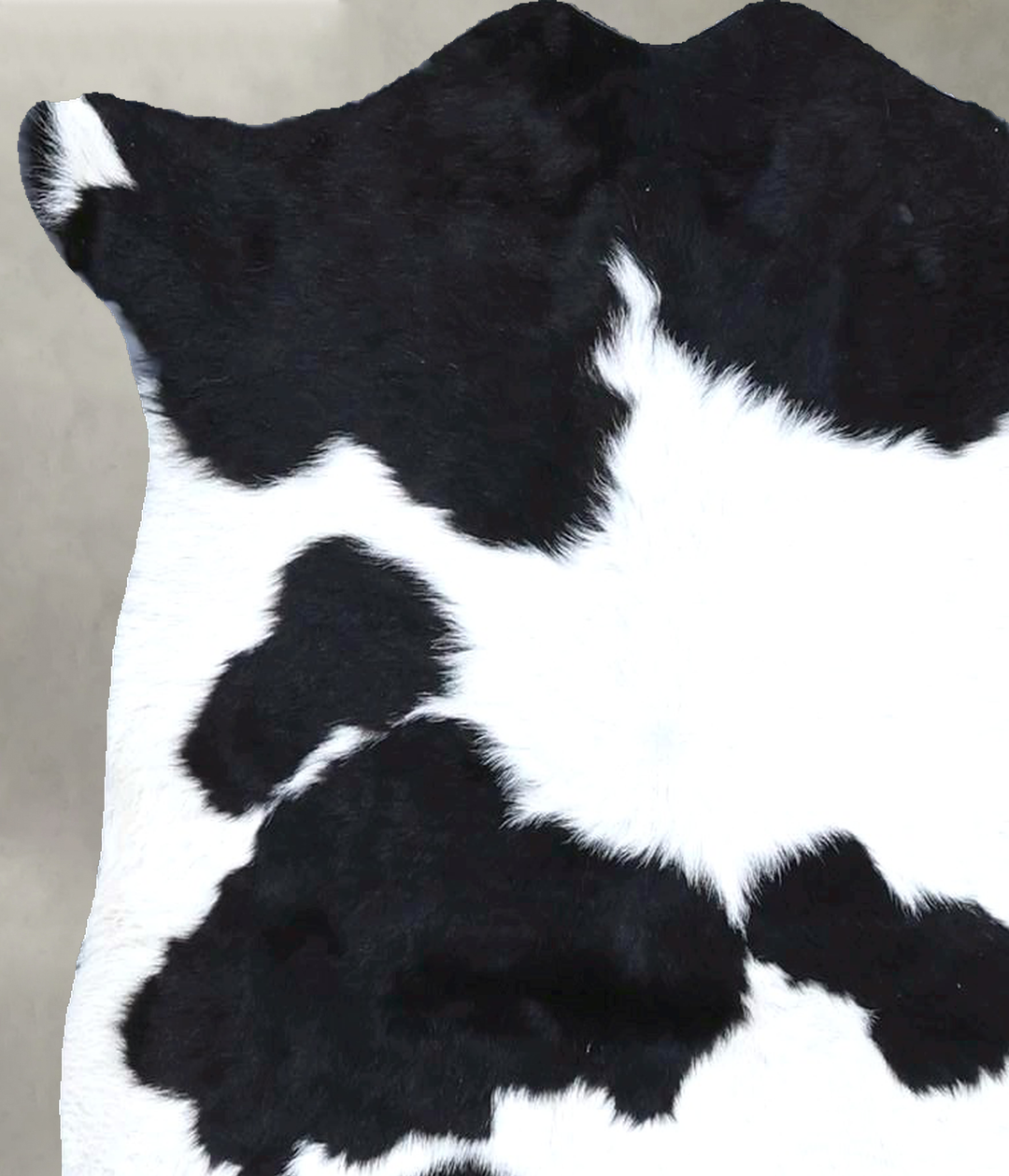 Calfhide Approx 2'x3' #B21632 by Hudson Hides