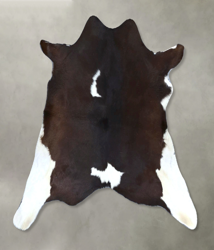 Calfhide Approx 2'x3' #B21638 by Hudson Hides