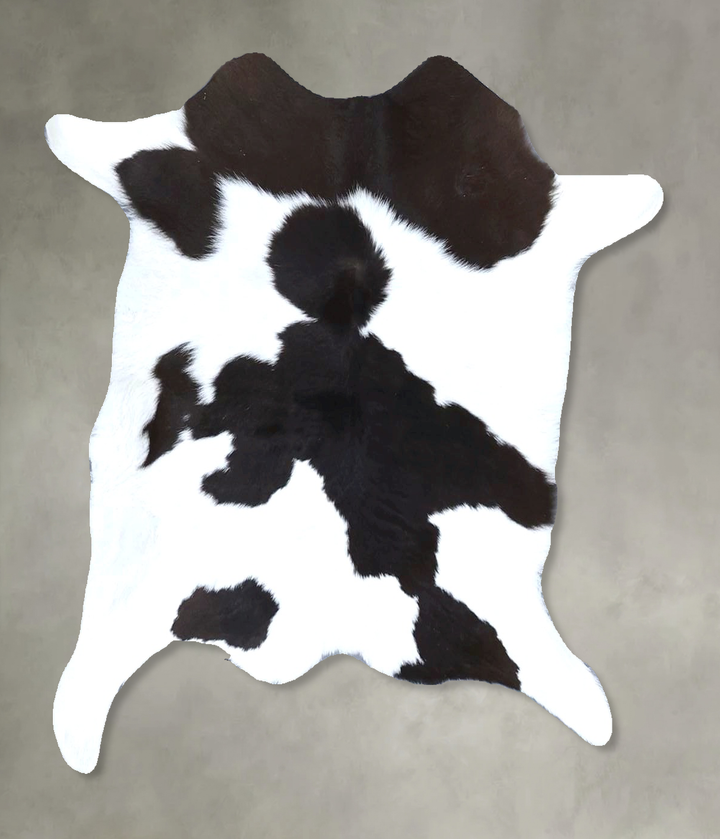 Calfhide Approx 2'x3' #B21639 by Hudson Hides