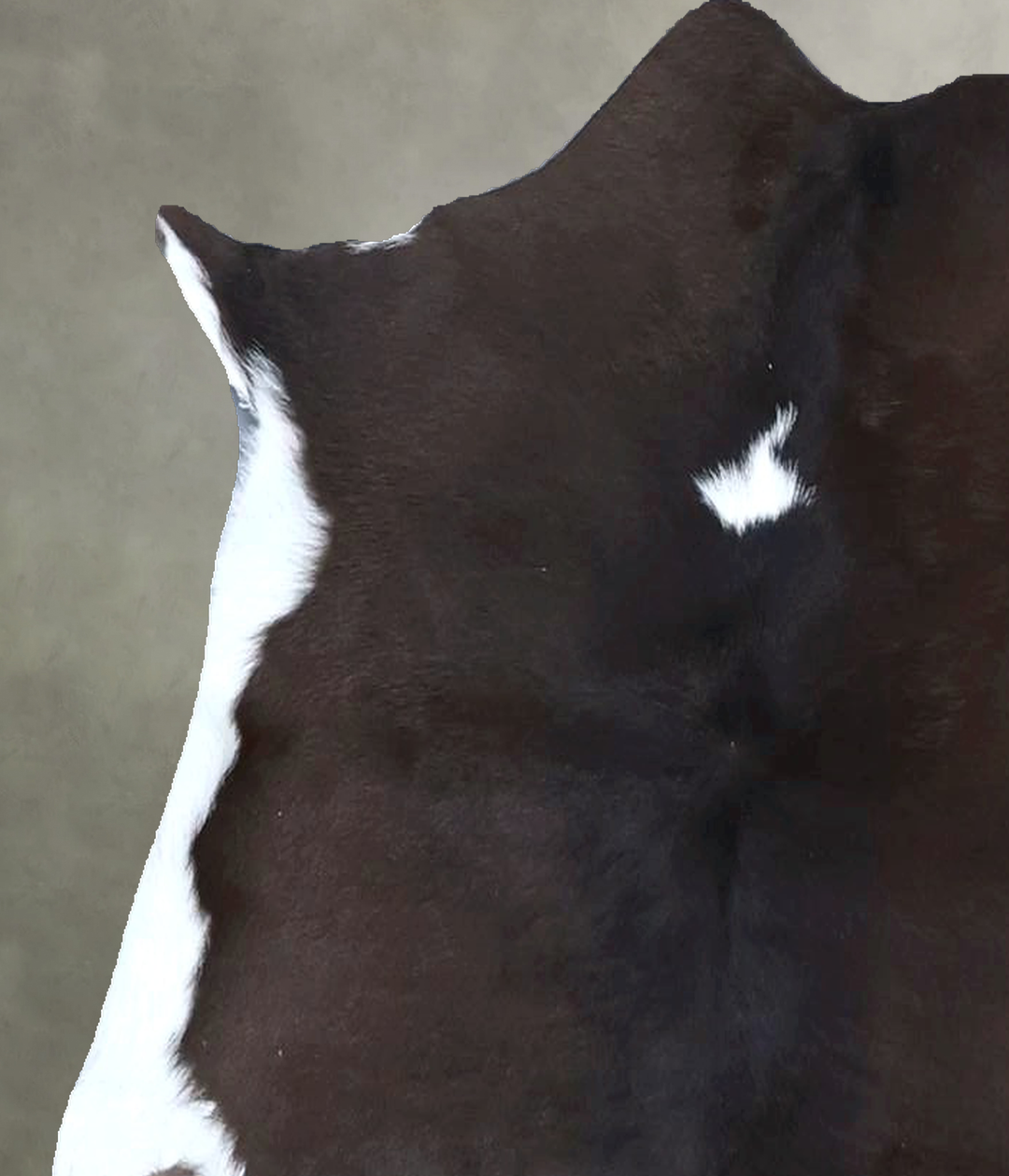 Calfhide Approx 2'x3' #B21640 by Hudson Hides