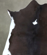 Calfhide Approx 2'x3' #B21640 by Hudson Hides