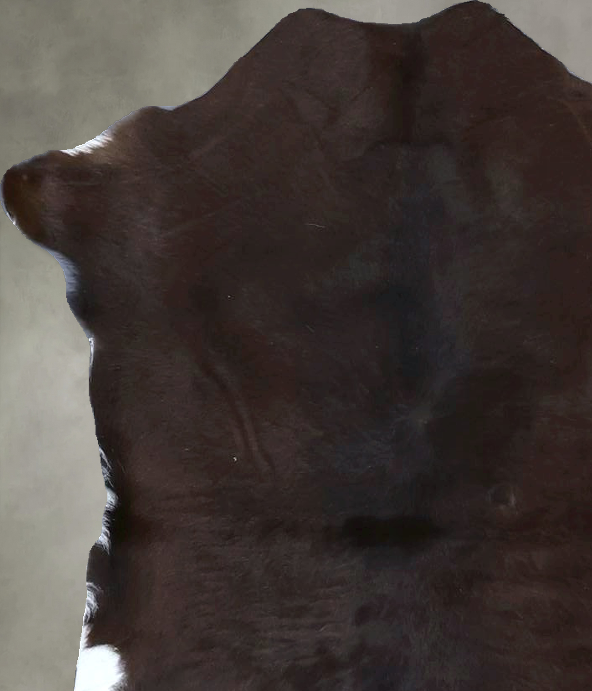 Calfhide Rug #B21641