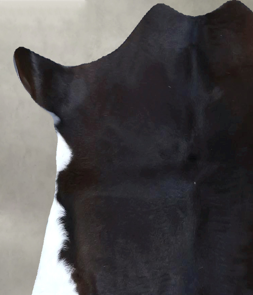 Calfhide Approx 2'x3' #B21643 by Hudson Hides