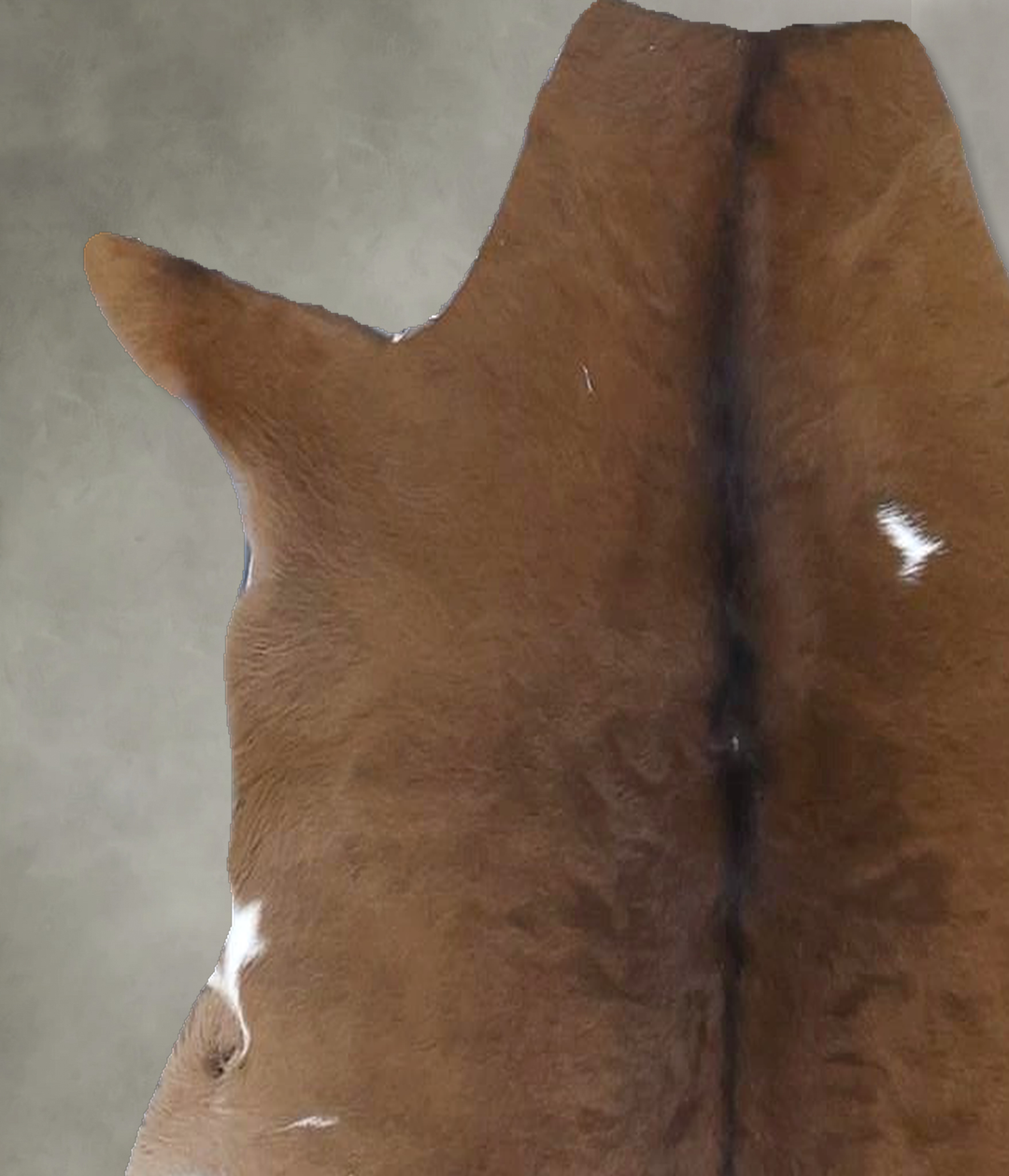 Calfhide Approx 2'x3' #B21645 by Hudson Hides