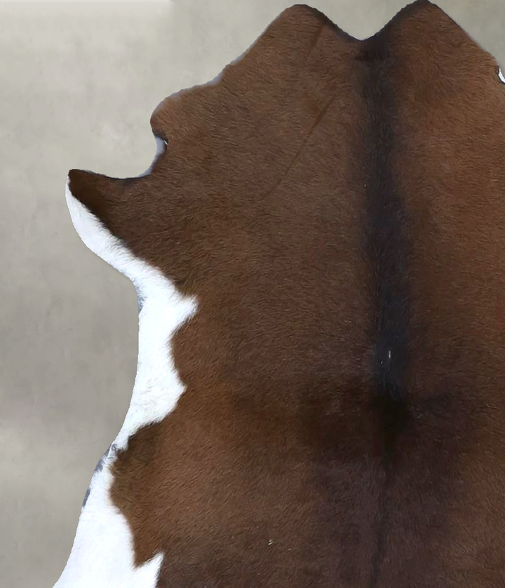 Calfhide Approx 2'x3' #B21647 by Hudson Hides