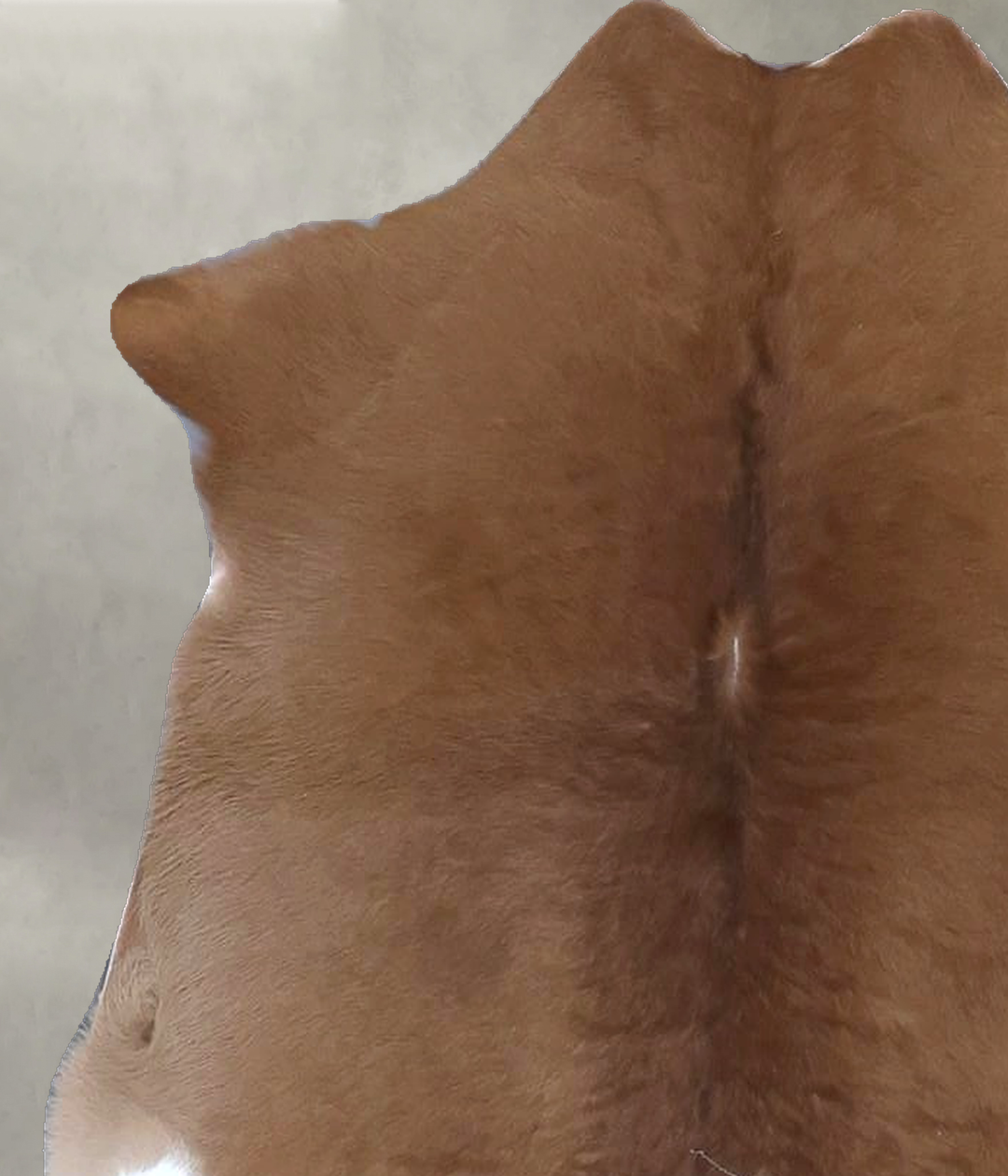 Calfhide Approx 2'x3' #B21649 by Hudson Hides