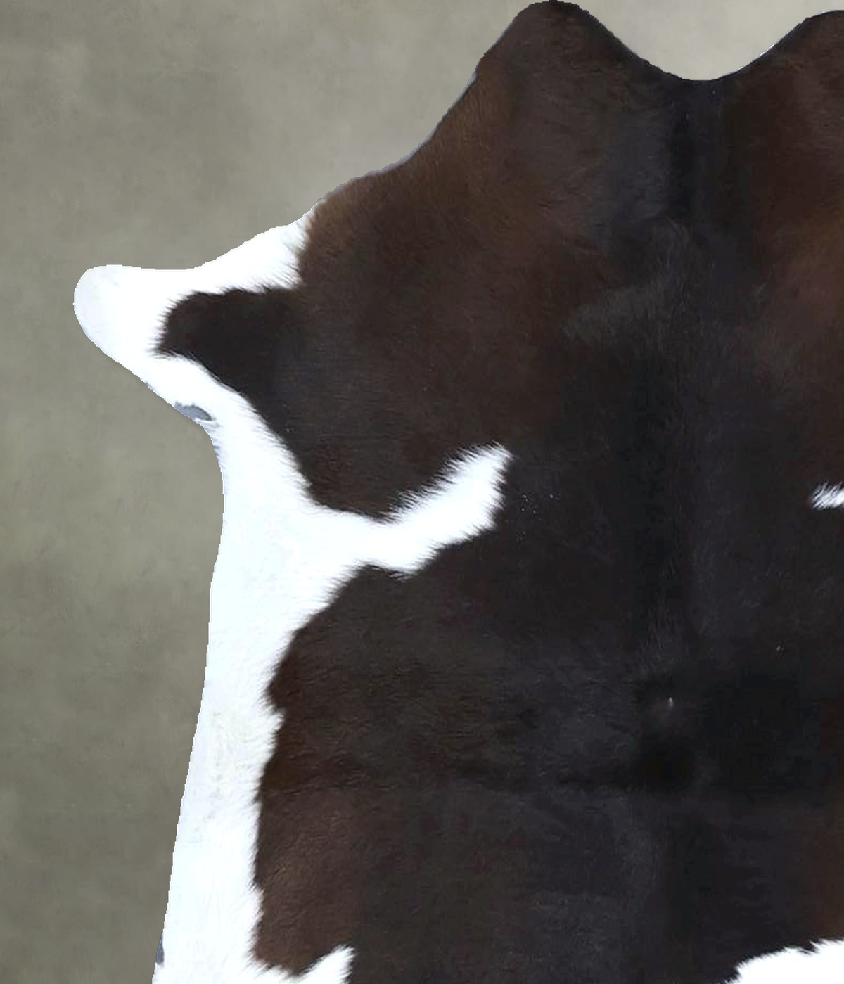 Calfhide Rug #B21652
