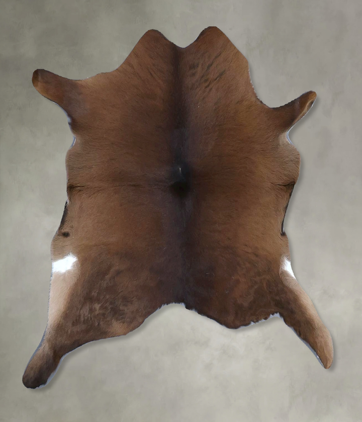 Calfhide Approx 2'x3' #B21653 by Hudson Hides