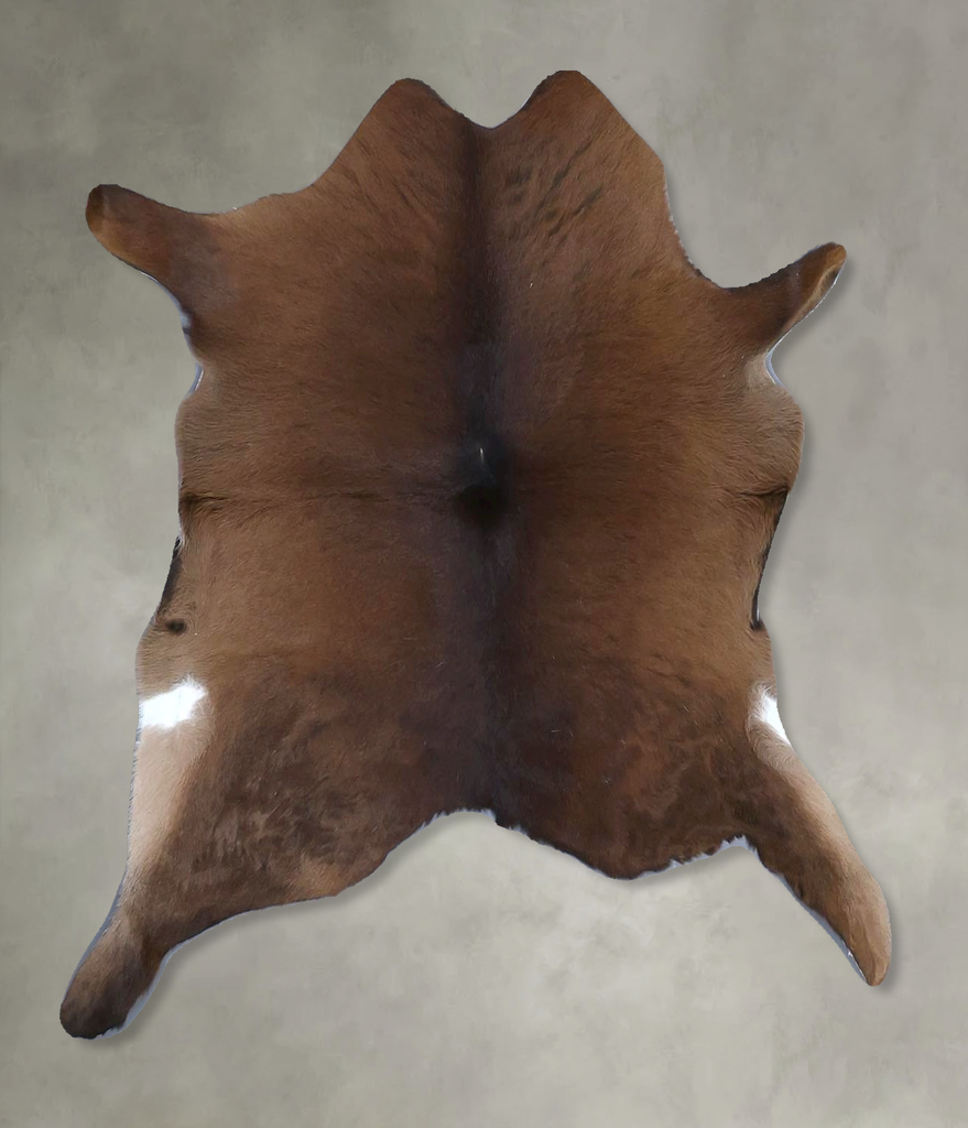 Calfhide Approx 2'x3' #B21653 by Hudson Hides