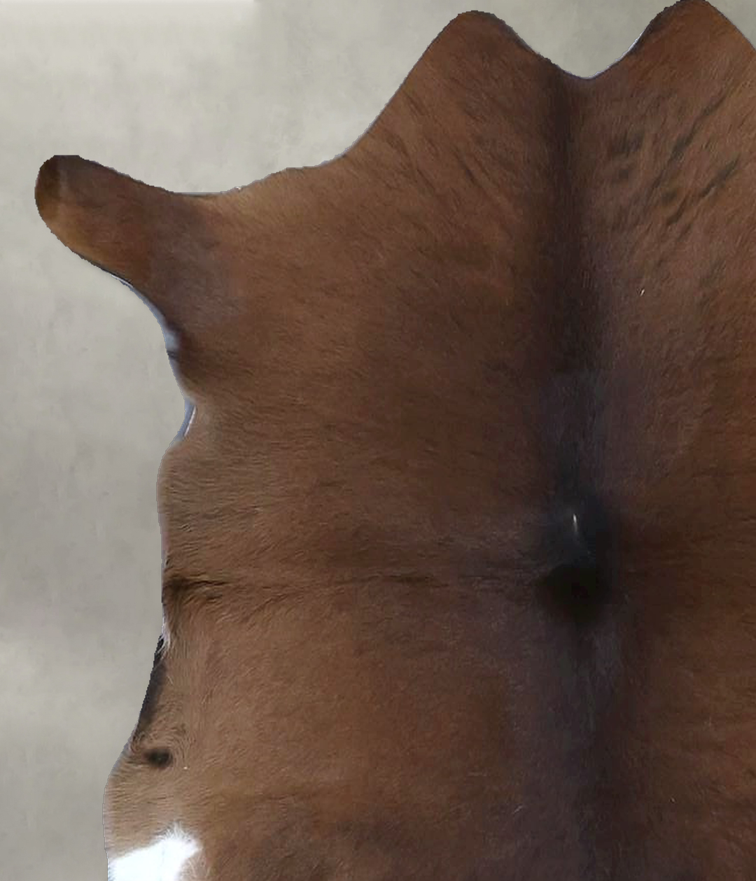 Calfhide Approx 2'x3' #B21653 by Hudson Hides