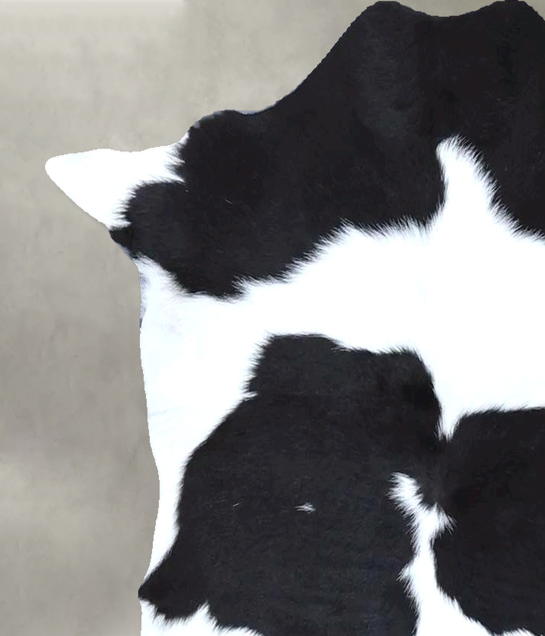 Calfhide Approx 2'x3' #B21654 by Hudson Hides